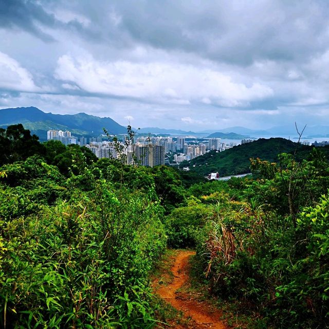 社山