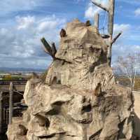 【北海道:旭山】日本最北の動物園を堪能！