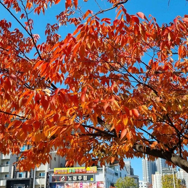 Fall around in Peace Square