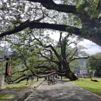 Taiping Lake Garden