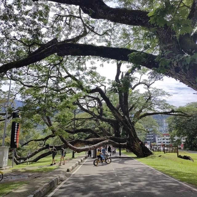 Taiping Lake Garden
