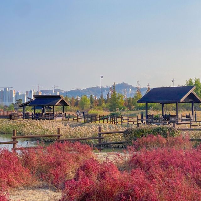 서울 근교 드라이브 코스 🍂시흥 갯골생태공원