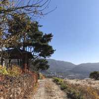 1박 2일 여자혼자여행 지리산 둘레길 3코스