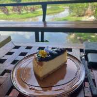 คาเฟ่ชมธรรมชาติ