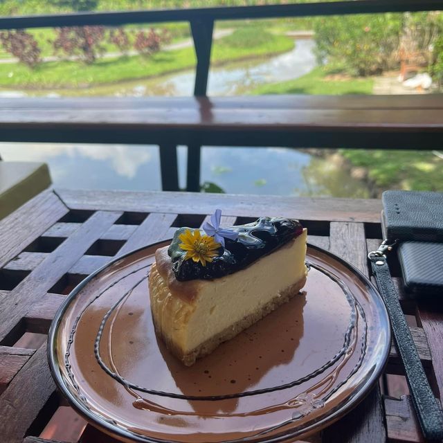 คาเฟ่ชมธรรมชาติ