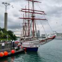 Royal Albatross - Luxury Tall Ship