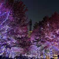 【横浜】マークイズみなとみらいのイルミネーションと紅葉のコラボレーション