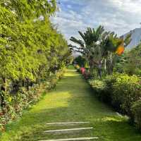 Macau Wetland of  Beach Avenue, Taipa