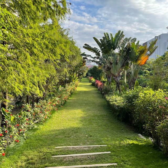 Macau Wetland of  Beach Avenue, Taipa