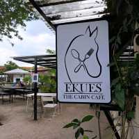 You will fall in love with this cafe❗️