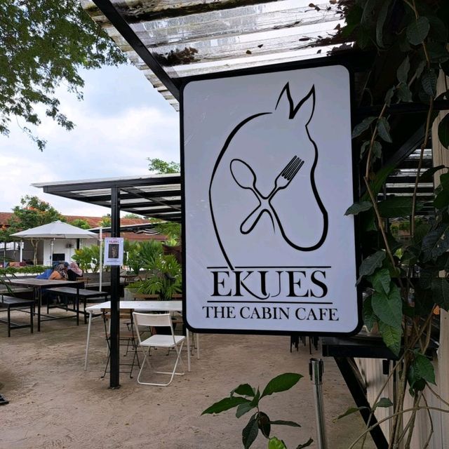 You will fall in love with this cafe❗️
