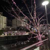 【五反田】目黒川沿いのイルミネーション