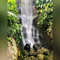 化腐朽為神奇～Eden Project @Cornwall