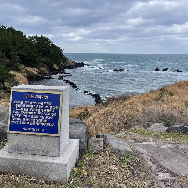 옛 조상들의 지혜를 엿볼 수 있는 원담🐟