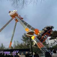 겨울에도 즐거운 대구 이월드🎢