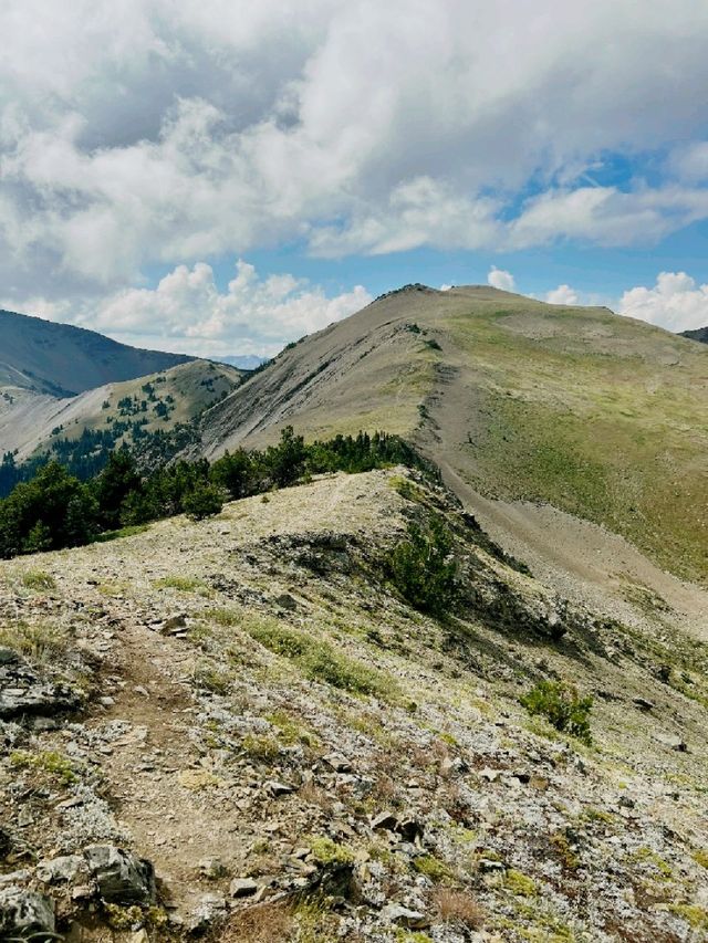 Atop Mnt. Baldy!