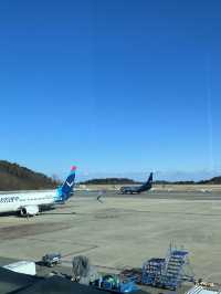 양양에서도 일본까지 갈 수 있다고?!🇰🇷✈️🇯🇵