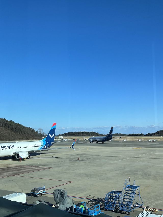 양양에서도 일본까지 갈 수 있다고?!🇰🇷✈️🇯🇵
