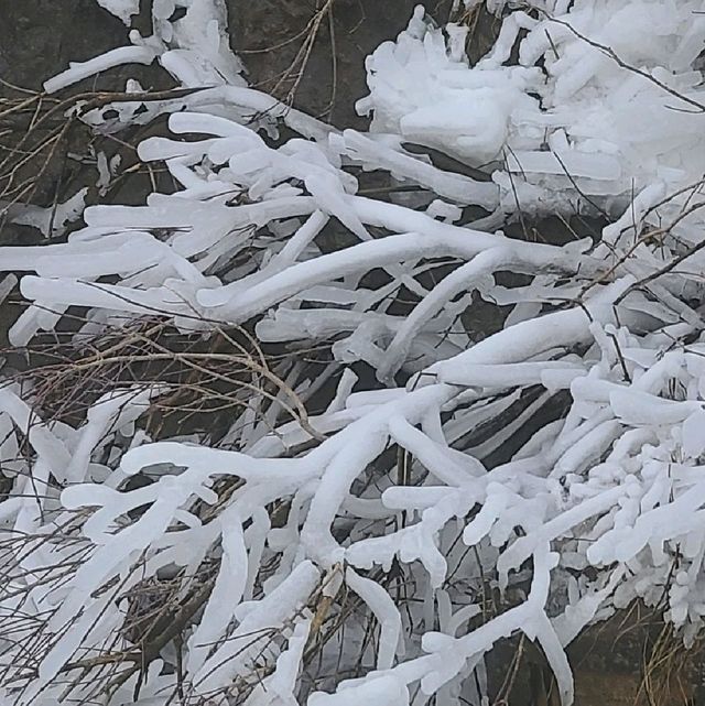 Snowy Niagara 