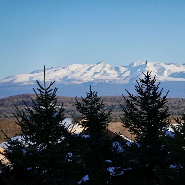 Sacred tour to the snowy mountain 🏔️