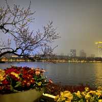 Xuanwu Lake @ Night