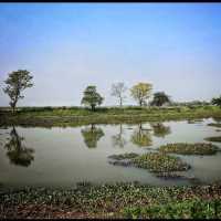 Baikka Beel Wetland Sanctuary