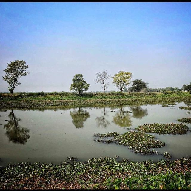 Baikka Beel Wetland Sanctuary