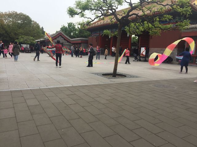 Jingshan Park in Bloom