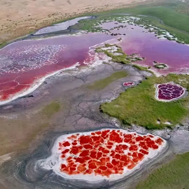 Swan lake - red lake (Tengger desert tour)