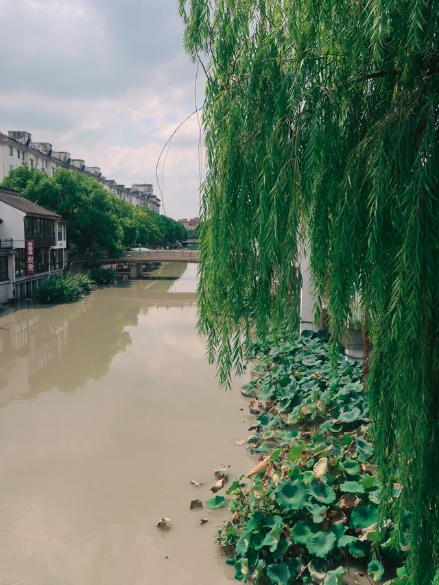 Qibao Ancient Town, Shanghai🏮
