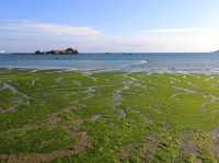 英國皇家屬地澤西島聖奧賓灣