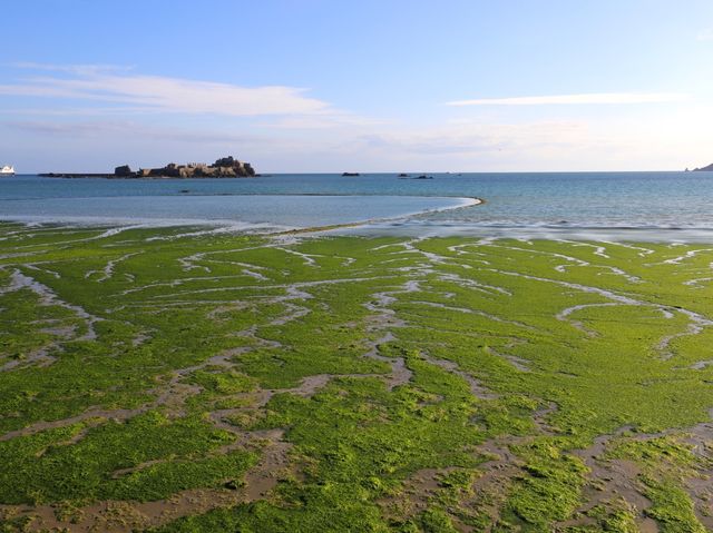 英國皇家屬地澤西島聖奧賓灣