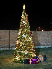 ✨Spend Christmas with the Philippine Tourism Bureau.