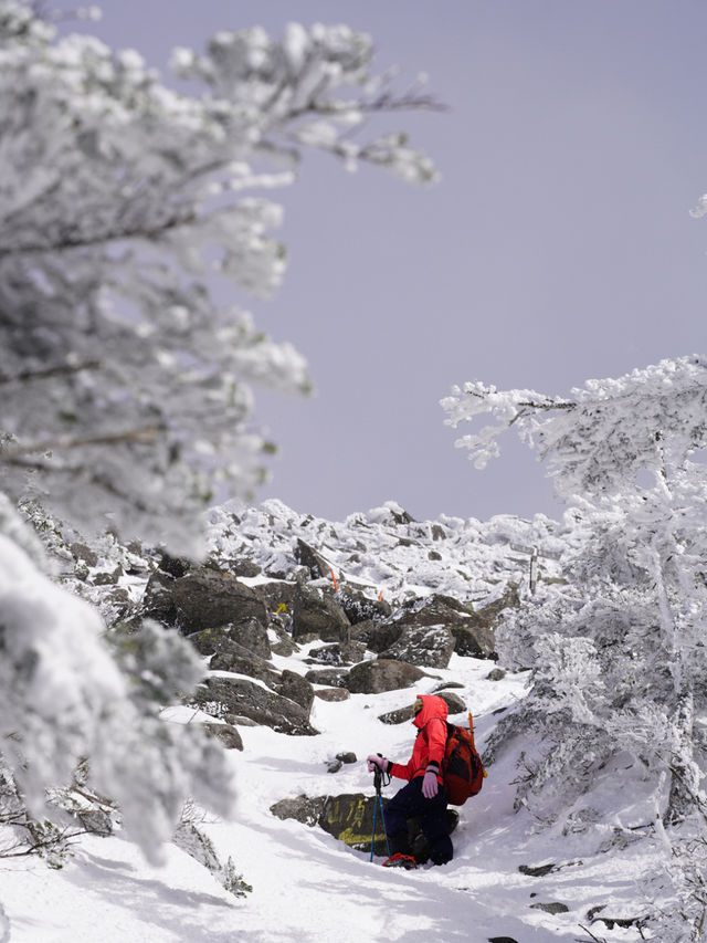 Climbed to the summit of Mount Ryoukou in Japan, one of the 100 famous mountains, during the severe winter season.