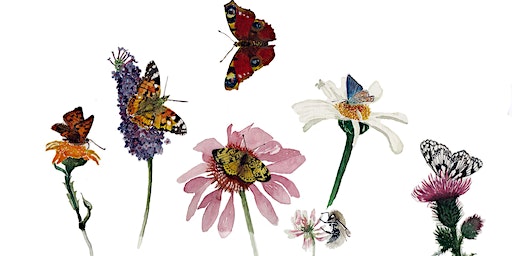 Environmental Family Workshop | Fruitmarket