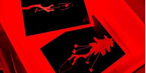 Photogram Printmaking Workshop | MAKE by Narture Studios 30 Newmarket St