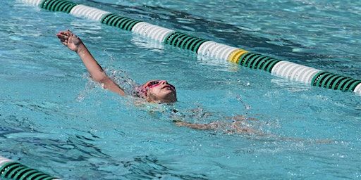Level 3 Swim Lessons - 11 am to 11:30 am - Summer Session 1 | Wollman Aquatic Center