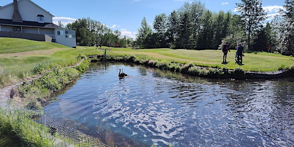 IES Mini Putt & BBQ | Putting Horse Ranch