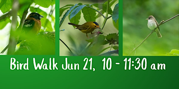 Summer Bird Walk | Craig Avenue