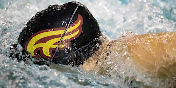 2025 Mounties Swim Team Alumni Reunion Event | Mount Allison University