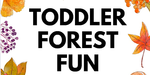 Toddler Forest Fun | Stover Country Park