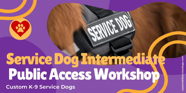 Service Dog Intermediate Public Access Workshop | World Market