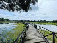 สะพานไม้เคี่ยมแหล่งธรรมชาติใกล้ทะเลชุมพร
