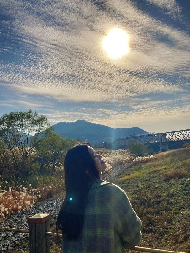 김해에서 즐길 수 있는 레일바이크