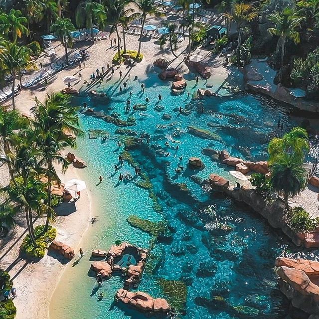 discovery cove park