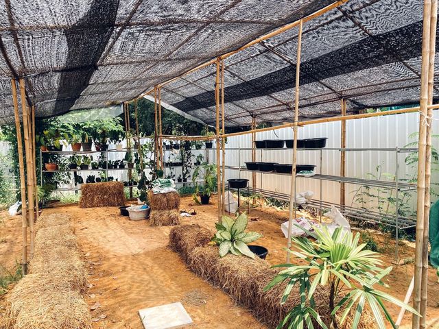 คาเฟ่ในสวน Pin Farm&Cafe @ขอนแก่น