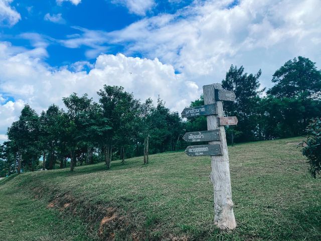 ผาหัวนาค วิวสวยมาก @ชัยภูมิ