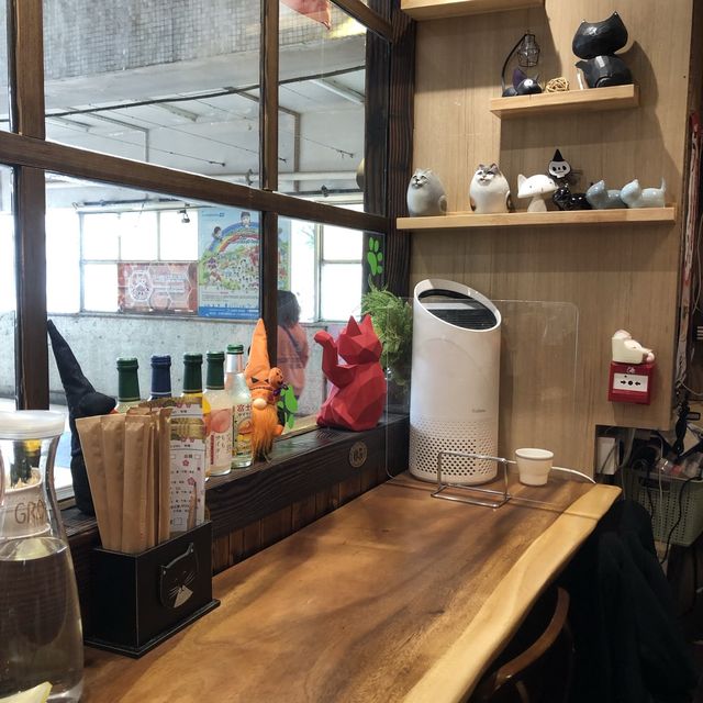 屋邨商場高質拉麵店🍜裝修滿佈可愛貓咪🐱