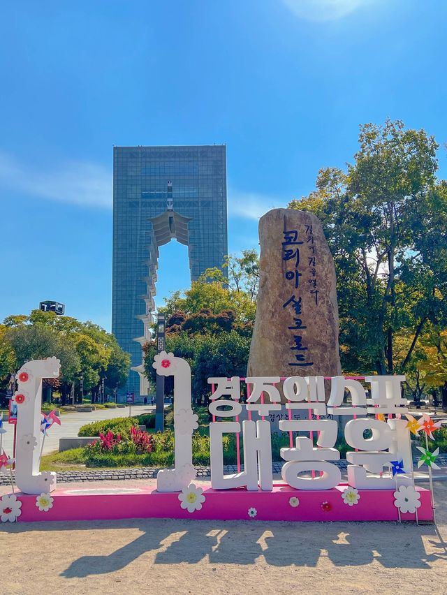 '경주타워 전망대' 에서 경주의 모습 구경