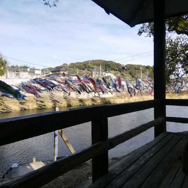 [佐賀]春の風物詩🌸鯉のぼり🎏泳ぐ「川上狭」